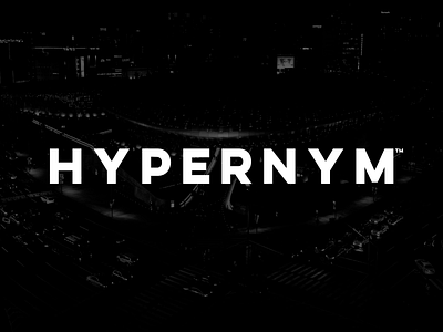 Hypernym