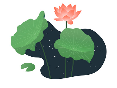 Lotus illustration lotus vector work