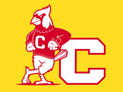 CARDINAL MASCOT bird cardinal mascot sports