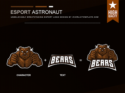 Logo Bears