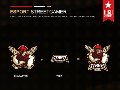 Logo StreetGamer