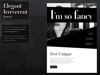 Fancy Shot blackwhite elegant modern web design