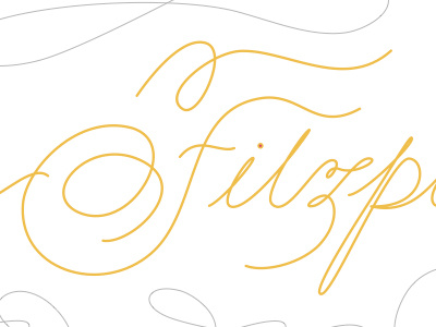 Hand type - Fitzpatrick script type typography