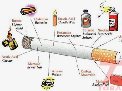 Tác hại của thuốc lá đến sức khoẻ con người tobacare tobacarehcm tác hại của thuốc lá