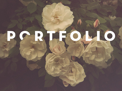 Portfolio Cover cover photography portfolio roses typography