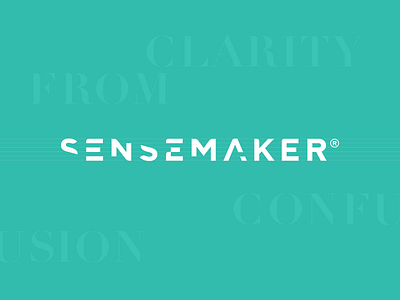 Sensemaker Dribbble 2