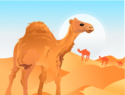 camel animation art illustration illustrator minimal type ui ux vector website