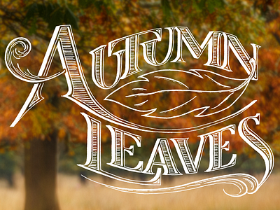 Autumn Leaves autumn calligraphy hand lettering ink leaves lettering roman type typography