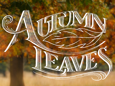 Autumn Leaves