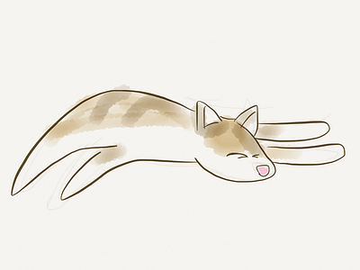 Hot day cat day hot illustration sleeping