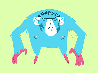 GrumpyMonkey