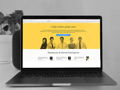 InsightBee animation app branding design email design html social media ui ux web website