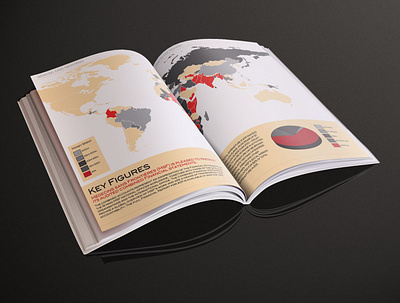 Medecins Sans Frontieres annual report brochure dataviz design icon illustration infographics maps not for profit print typography