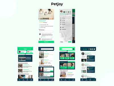 Petjoy app design icon illustration typography ux