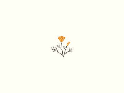 California Poppy by Ashleigh Brewer on Dribbble