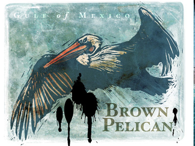 Brown Pelican bird fly illustration nature oil