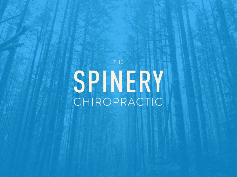 Spinery Workmark identity logo typography