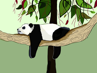 panda digital illustration