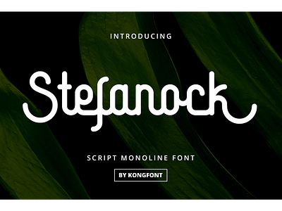 Stefanock Font branding font handwritten logotype monoline script stefanock