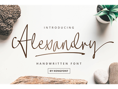 Alexandry Font alexandry branding decorative font handwritten logotype modern script swash