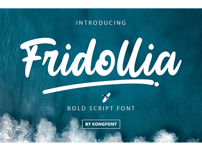 Fridollia Font bold branding designfont font foodfont fridollia handwritten kidsfont logotype script swash tshirtfont youtubefont