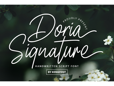 Doria Signature decorative