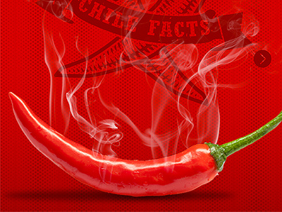 Bailey Farms Chile Pepper Site Design chile facts interactive pepper website