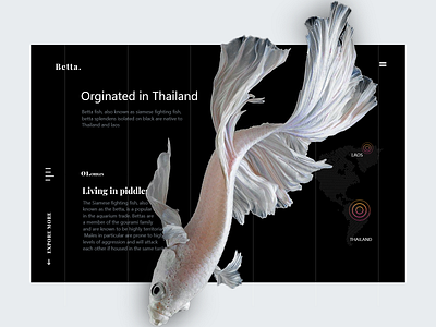 betta fish website design