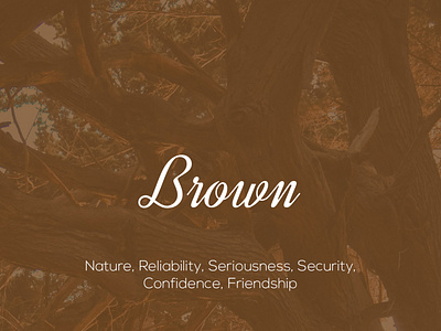 What does Brown Color represent? brand designer branding brown color color palette colors confidence friendship graphic designer logo designer nature reliability security seriousness
