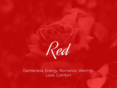 What does Red Color represent? brand designer color color palette colors comfort energy gentle gentleness graphic designer logo designer love red red color romance warmth