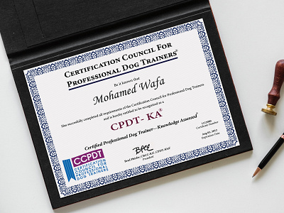 CERTIFICATE DESIGN