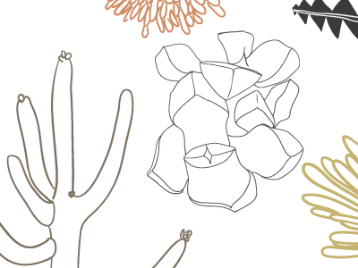 Botanical Study 2 design floral graphic illustration