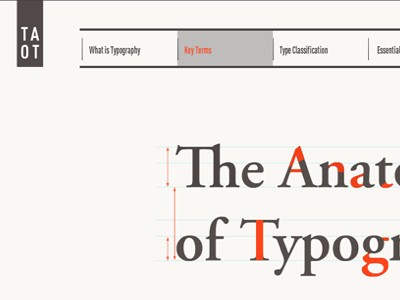 The Anatomy of Typography typography web