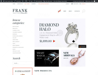 build ecommerce wp website professionally online store 66ea