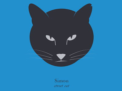 Simon, street cat cat