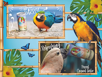 Parrot Packaging Design branding cruise cute design icon illustration logo mascot packaging design parrot parrot logo