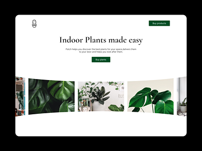 Patch design hero plants ui ux web webdesign