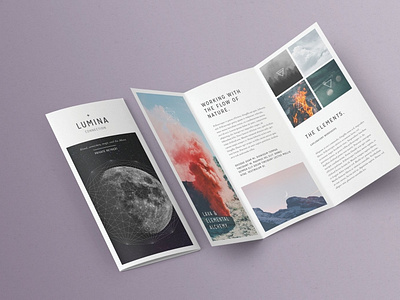 Download Lumina Trifold Brochure Template By Graphic Stock On Dribbble