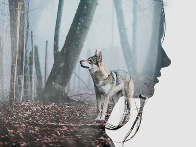 Master Double Exposure Photoshop Actions