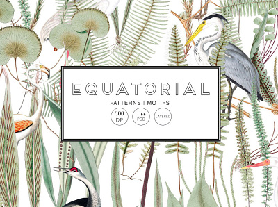 Equatorial Patterns Set for Adobe Photoshop animal animals art artwork branding design drawing drawings floral graphic graphic design graphics illustration illustrations pattern patterns photoshop plant plants vector graphics