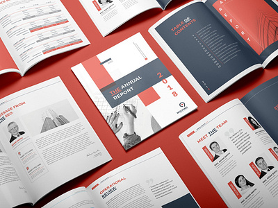 annual report layout design ideas