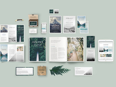 JUNIPER Branding Bundle