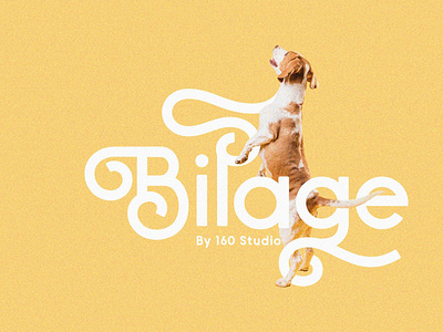 Bilage Font