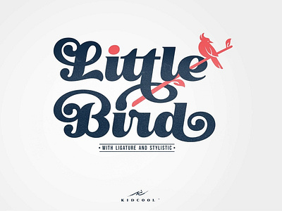 Little Bird Display Script Font best fonts branding classic font design display font download font font font design fonts graphic design logo design logo font logo fonts logotype retro font typeface typefaces vintage design vintage font vintage lettering