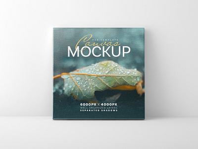 Canvas Mockup Set