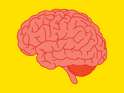 Brain Illustration anatomy brain drawing illustration illustrator vector