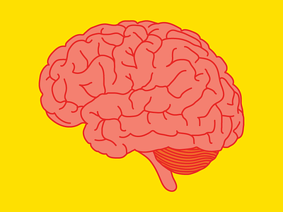 Brain Illustration