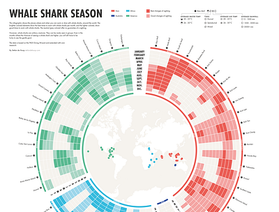 Whale Shark Season data visualization diving illustrator infographic marine ocean sunburst chart swimming whale sharks world