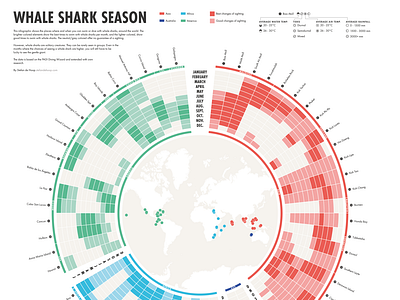 Whale Shark Season