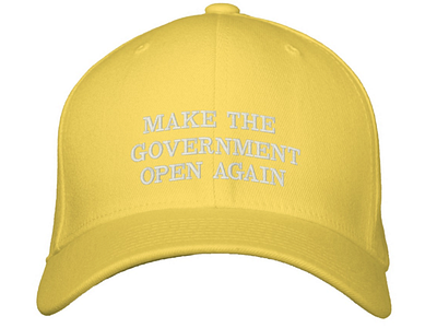 Make the Government Open Again Hat